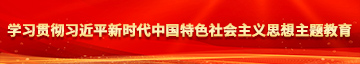 我要看黄色操逼学习贯彻习近平新时代中国特色社会主义思想主题教育